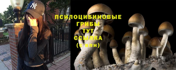 а пвп мука Переславль-Залесский