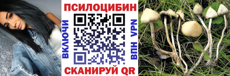 Псилоцибиновые грибы Psilocybe  Асбест 